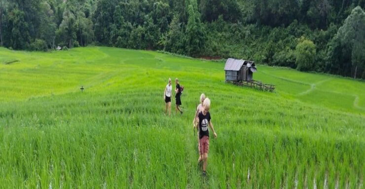 Chiang Mai Trekking (Non-touristic Trail) - Key Points