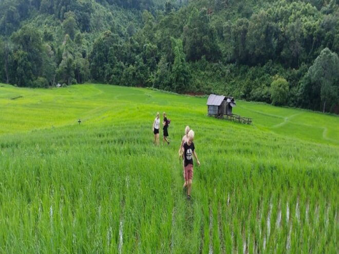 Chiang Mai Trekking (Non-touristic Trail) - Importance of Sustainability