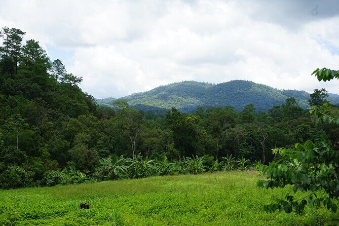 Chiang Mai Trekking Tour :Full day (no rafting) - The Sum Up: Is This Tour Worth It?