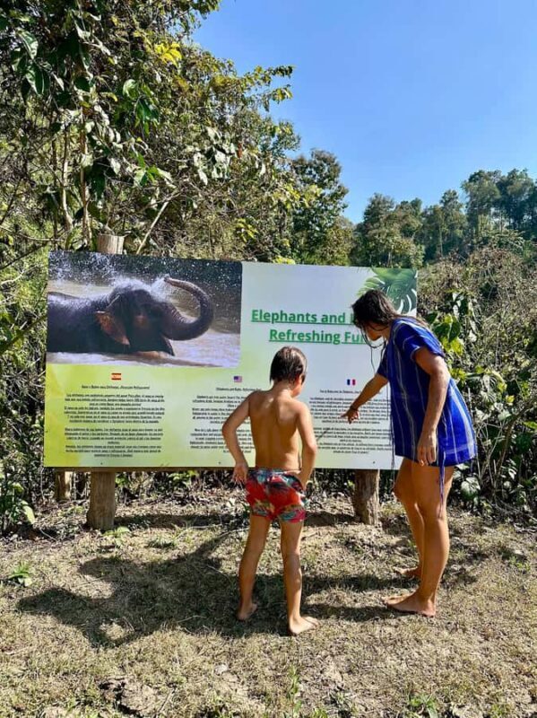 Chiang Mai: Two-day tour at the Temple of Elephants Sanctuary - Final Thoughts