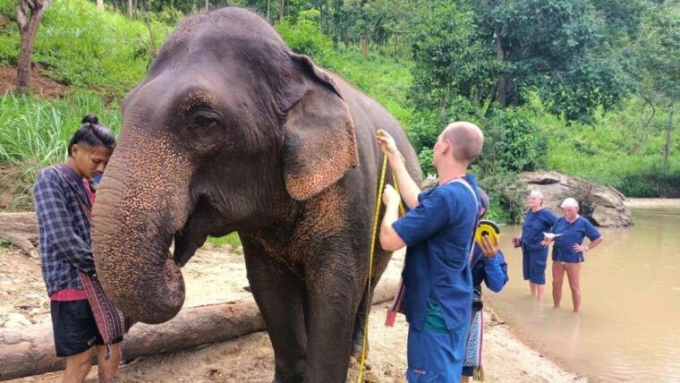 Chiang Mai Untouched Elephant: Nature Walk & Waterfall Trek - Transportation Details