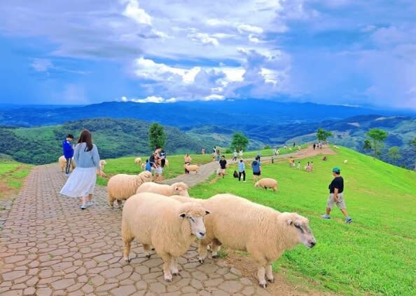 Chiang Mai Wat Rong Khun & Akha FarmVille Full-Day Tour with Transfers - The useful details at a glance