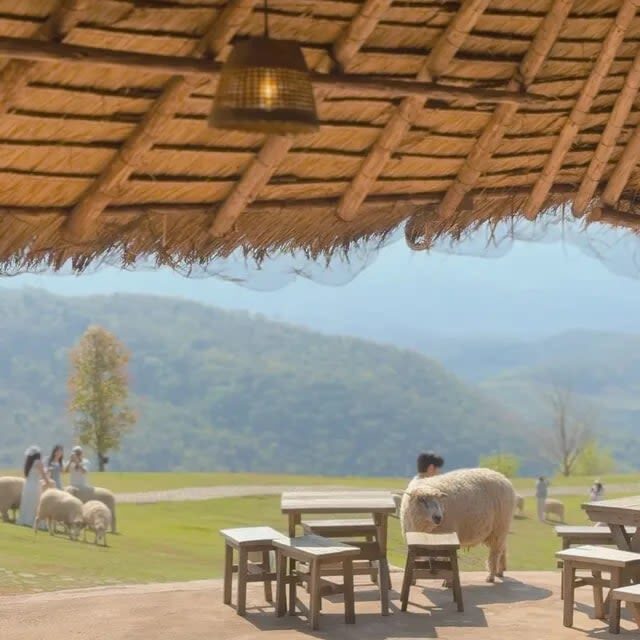 Chiang Mai Wat Rong Khun & Akha FarmVille Full-Day Tour with Transfers - The White Temple earns its place on the route