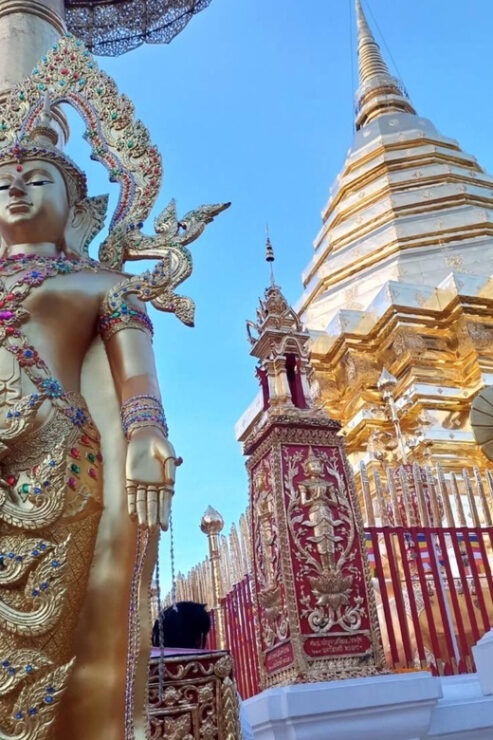 Chiang Mai: Wat Umong, Wat Pha Lat And Wat Doi Suthep Tour - Key Points