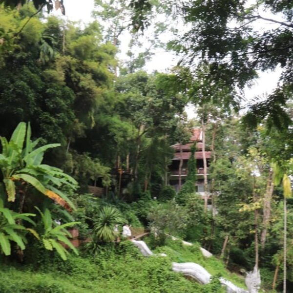 Chiang Mai: Wat Umong, Wat Pha Lat And Wat Doi Suthep Tour - Transportation Options