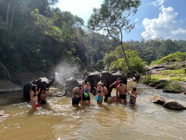 Chiang Mai: Waterfall, Elephant Sanctuary, and Rafting Tour - What to Bring