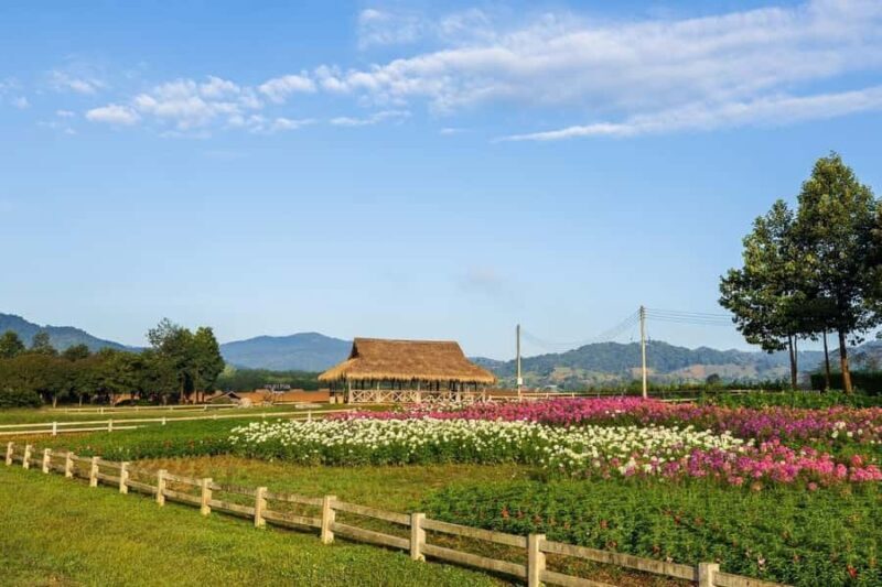 Chiang Mai: White Temple, Singha Park & Akha Farm Tour - Who Is This Tour Best For?