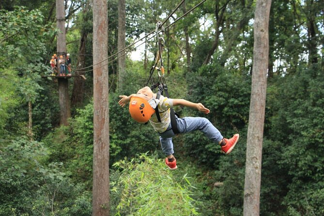 Chiang Mai Zip Line Experience - Cancellation Policy