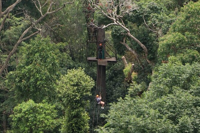 Chiang Mai Zip Line Experience - Traveler Photos