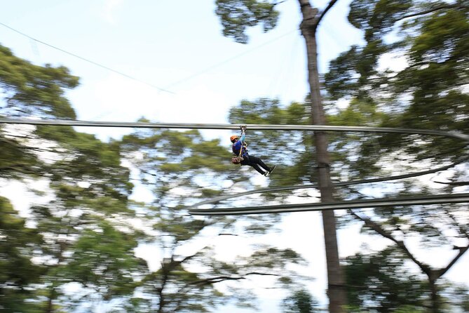Chiang Mai Zip Line Experience - The Sum Up