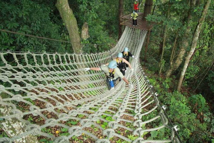 Chiang Mai: Zipline Adventure With Buffet Lunch and … - What to Expect