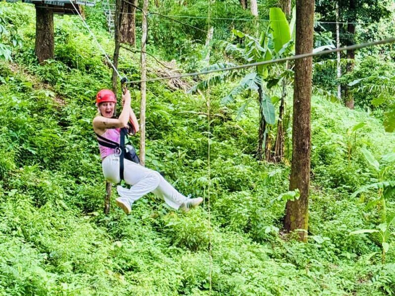 Chiang Mai: Zipline, Rafting and Sticky Waterfall Tour - Authentic Insights from Reviews