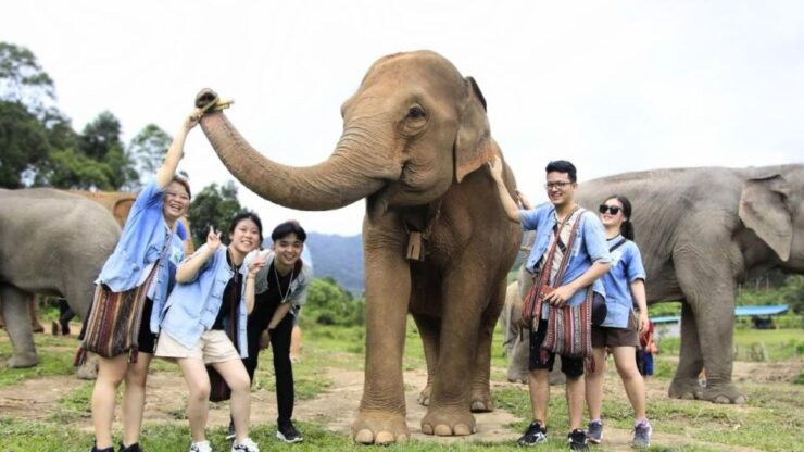 Chiang Mai:Doi Inthanon,Elephant Sanctuary and Walking Trail - Tour Highlights