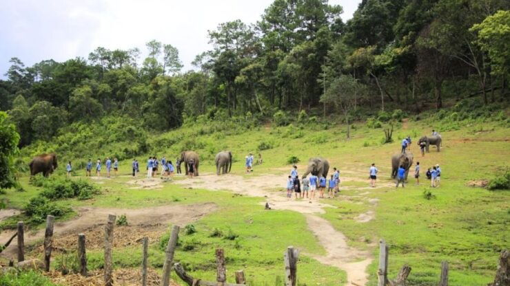 Chiang Mai:Doi Inthanon,Elephant Sanctuary and Walking Trail - Itinerary Overview