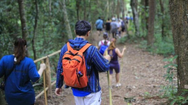 Chiang Mai:Doi Inthanon,Elephant Sanctuary and Walking Trail - Common Questions