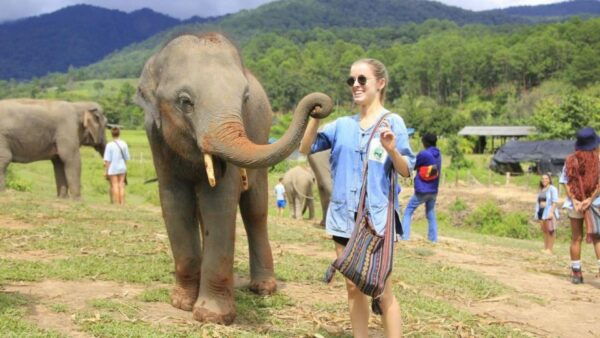 Chiang Mai:Doi Inthanon,Elephant Sanctuary and Walking Trail - The Sum Up