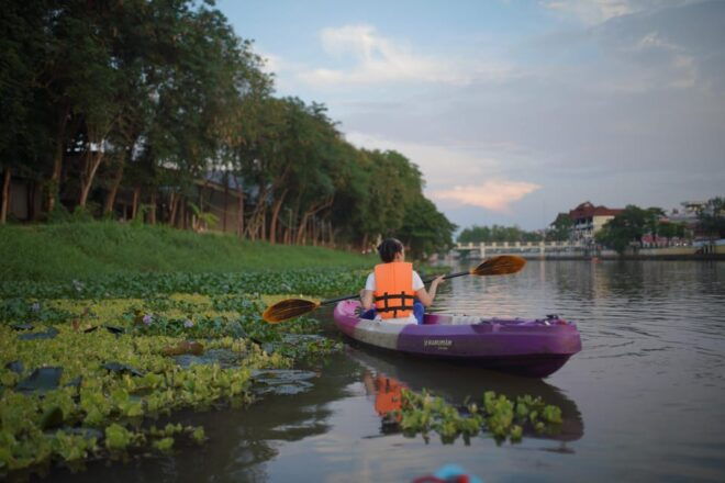 Chiang Mai:Explore Kayaking Through Mae Ping River on Sunset - Wildlife Encounter