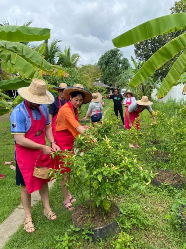 Chiang Mai:Farm-to-Table Cooking Class & Buatong Waterfall - Good To Know