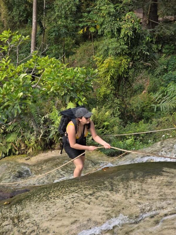 Chiang Mai:Sticky waterfall (Half Day) Hotel Transfer - The Value of This Experience