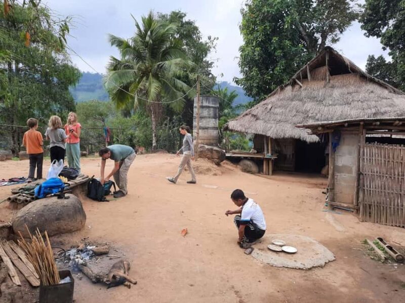 Chiang Rai 1 Day Jungle Trek with Bamboo Lunch & Local Guide - A Deep Dive Into the Chiang Rai Jungle Trek