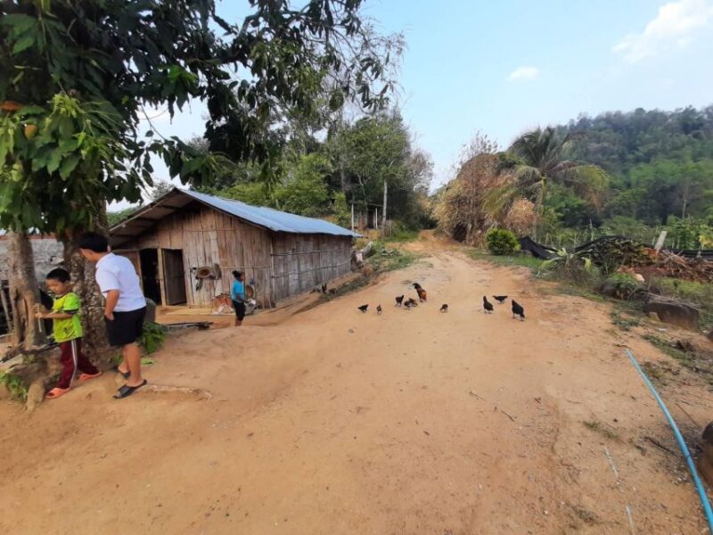 Chiang Rai 1 Day Jungle Trek with Bamboo Lunch & Local Guide - Frequently Asked Questions