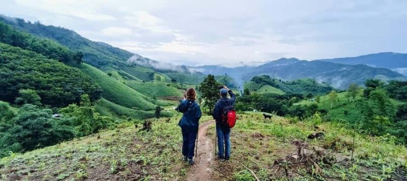 Chiang Rai: 1-Day Trekking and Longtail Boat Trip - Authenticity and Reviews