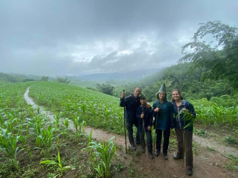Chiang Rai: 1-Day Trekking and Longtail Boat Trip - Practical Tips for Travelers
