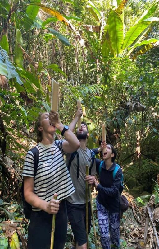 Chiang Rai: 1-Day Trekking and Longtail Boat Trip - The Sum Up