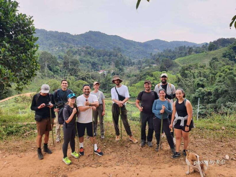 Chiang Rai: 2-Day Jungle Trek Only Walk With Waterfall - Itinerary Highlights