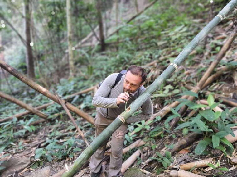 Chiang Rai: 2-Day Jungle Trek Only Walk With Waterfall - Inclusions and Exclusions