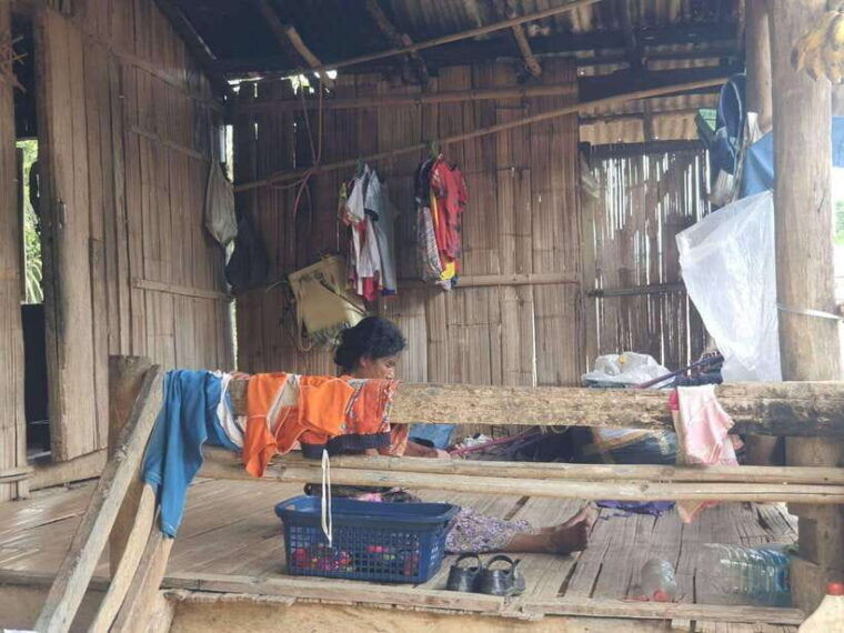 Chiang Rai: 2-Day Jungle Trek Only Walk With Waterfall - Customer Reviews and Feedback