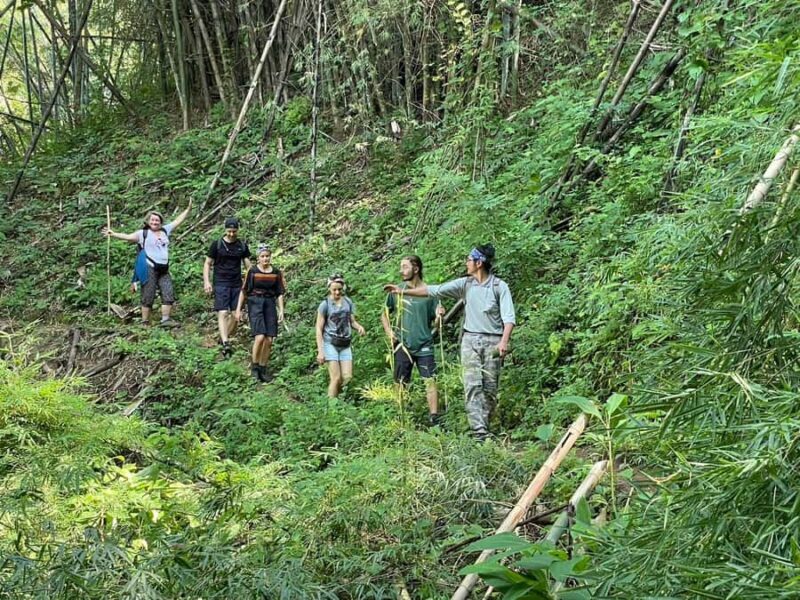 Chiang Rai Adventure Trekking & Bamboo cooking - Final Thoughts: Who Is This Tour Best For?