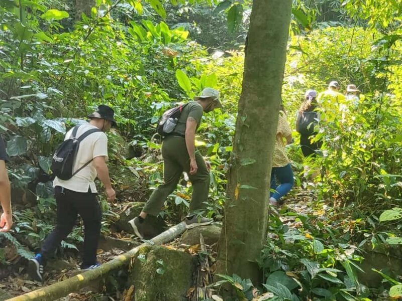 Chiang Rai Adventure Trekking & Bamboo cooking - A Complete Dive into the Chiang Rai Adventure Trekking & Bamboo Cooking Experience