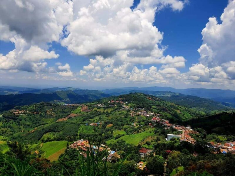 Chiang Rai: Doi Mae Salong & Doi Tung Guided Day Trip - Good To Know