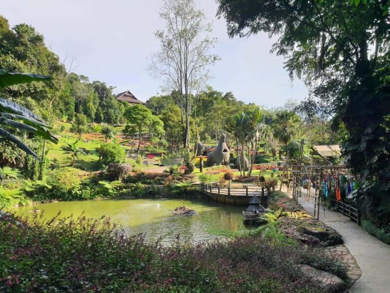Chiang Rai: Doi Mae Salong & Doi Tung Guided Day Trip - Who is this tour best suited for?
