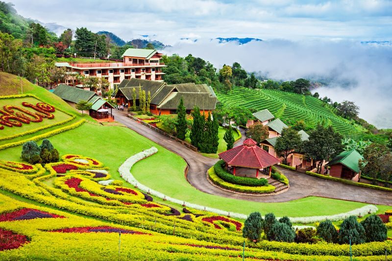 Chiang Rai Doi Tung & Doi Mae Salong Full-Day Tour - Key points to know before you go
