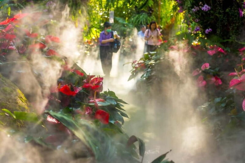 Chiang Rai: Excursion White, Blue,Red Temples & Lalitta Café - FAQ