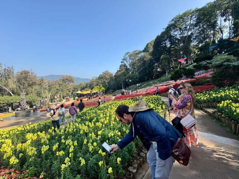 Chiang Rai: Explore Mountain & Border Routes - Private Tour - Final Verdict: Who Should Consider This Tour?  