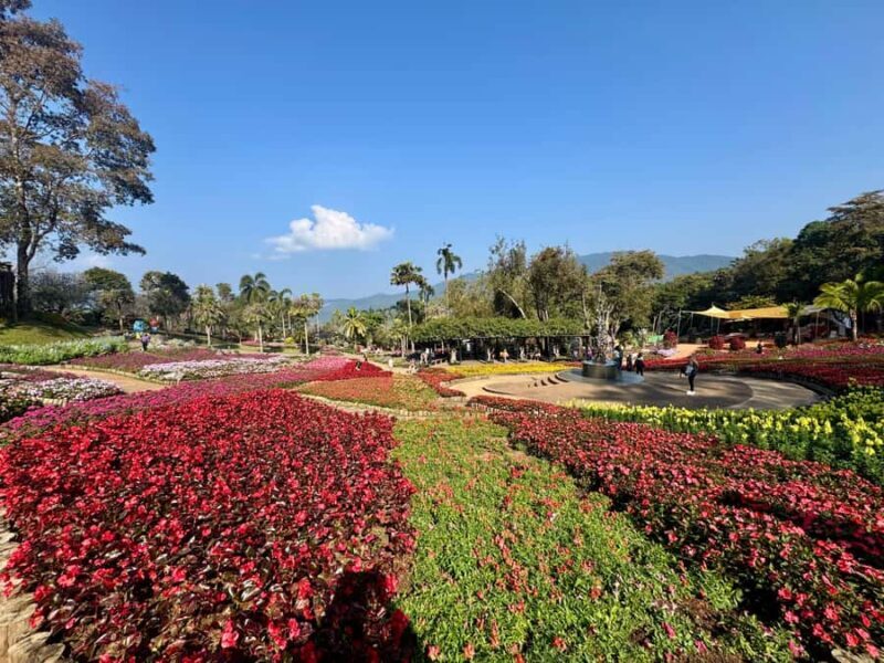 Chiang Rai: Explore Mountain & Border Routes - Private Tour - Practical Tips for Booking and Enjoying the Tour