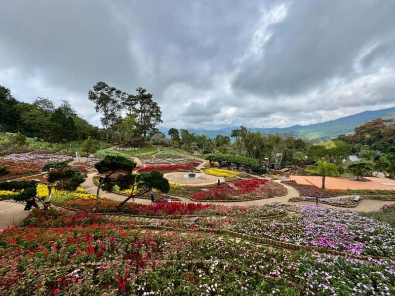 Chiang Rai: Explore Mountain & Border Routes - Private Tour - FAQ