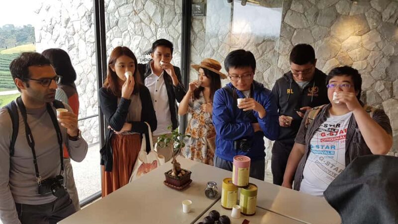 Chiang Rai: Guided Full-Day Highlights with Buffet Lunch - Good To Know