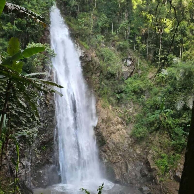 Chiang Rai Half-Day Tour: 3 Must-See Places in 5 Hours - The Sum Up