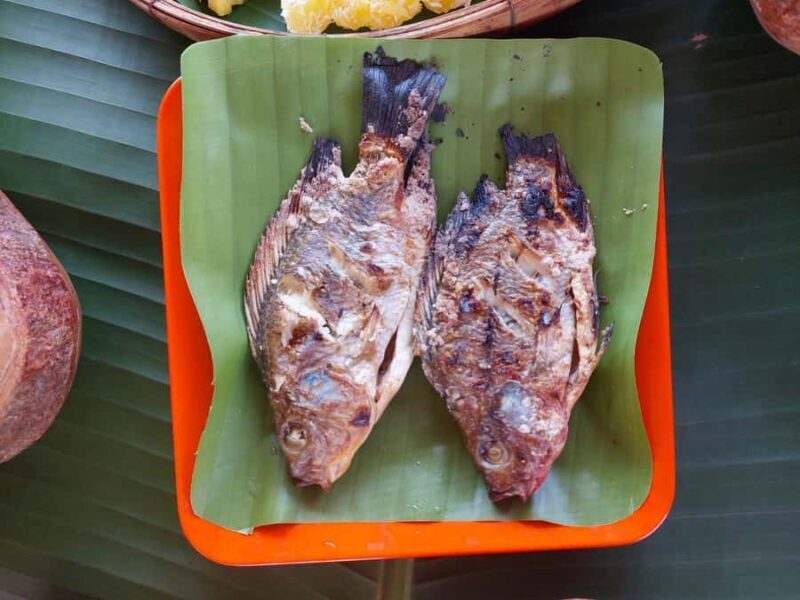 Chiang Rai: Heart to Heart Elephant Sanctuary Half Day Visit - Good To Know