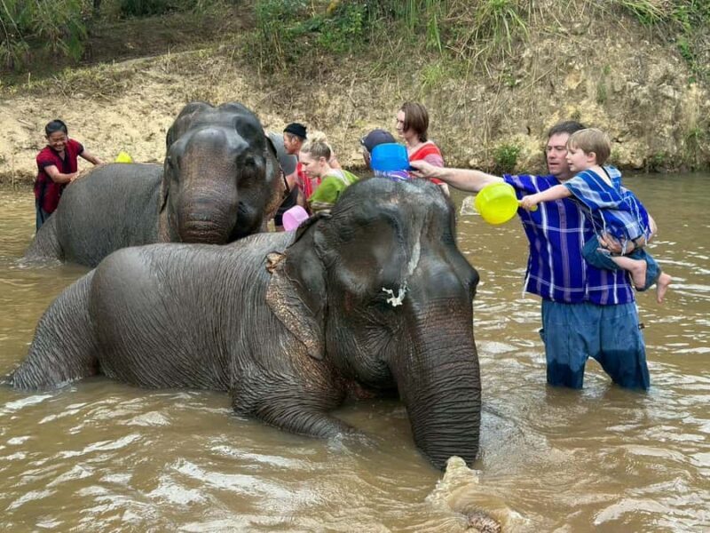 Chiang Rai: Heart to Heart Elephant Sanctuary Half Day Visit - What Makes This Tour Stand Out