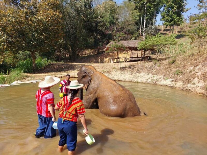 Chiang Rai: Heart to Heart Elephant Sanctuary Half Day Visit - FAQ