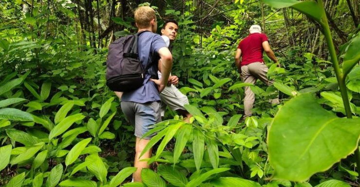 Chiang Rai Jungle Adventure: Group Trekking & Bamboo Cooking - Experience Highlights