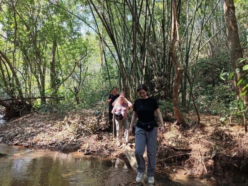 Chiang Rai: Jungle Trek, Waterfall, and Bamboo Raft Tour - Good To Know