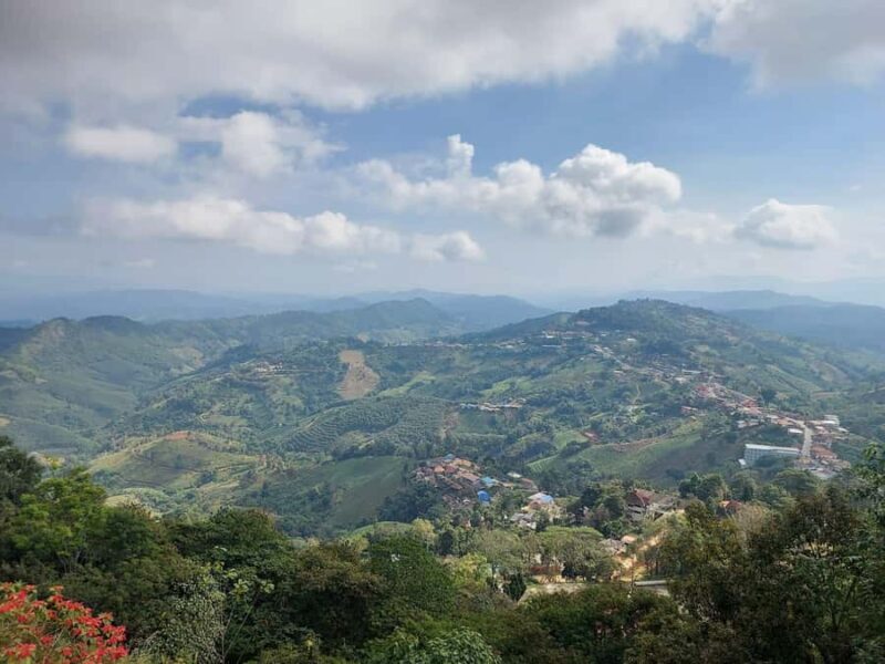 Chiang Rai: Mountains Discovery Doi Mae Salong & Doi Tung - Frequently Asked Questions