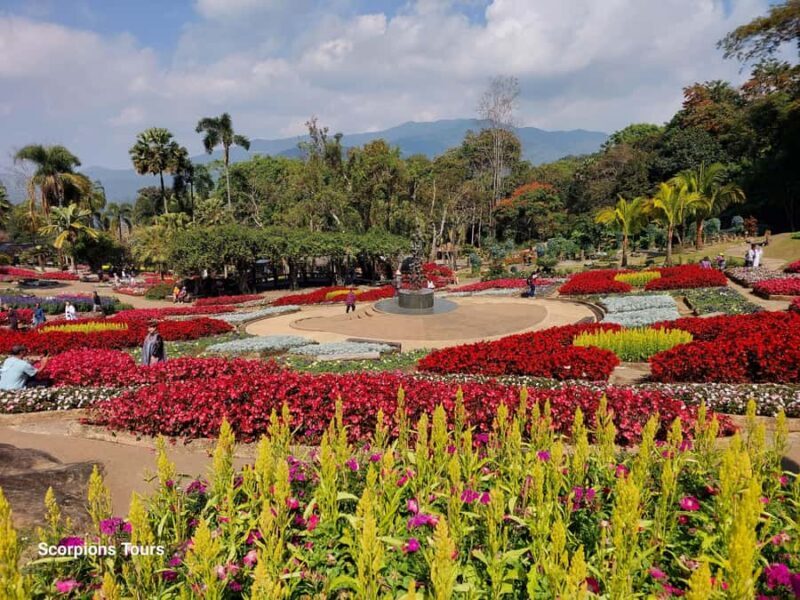 Chiang Rai: Mountains Discovery (Group Tour) - Final Thoughts