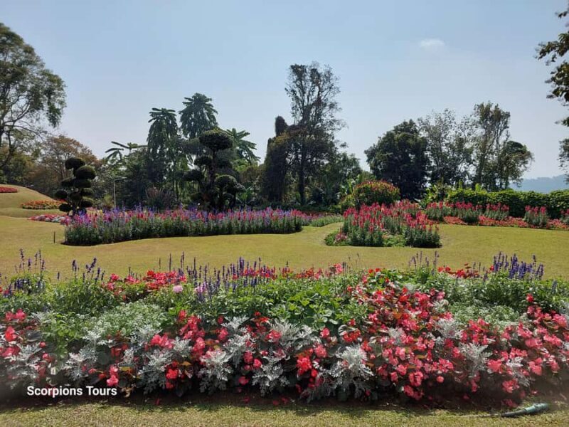 Chiang Rai: Mountains Discovery (Group Tour) - FAQs